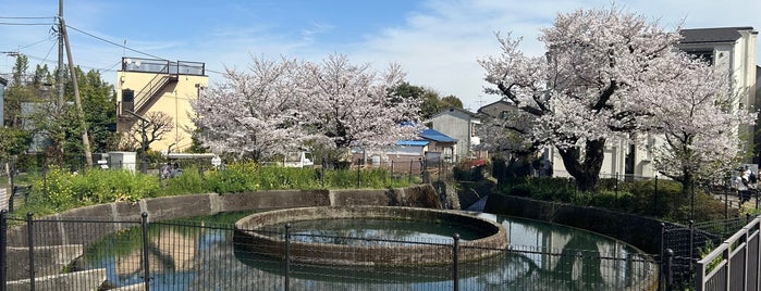 二ヶ領用水久地円筒分水 is one of สถานที่ที่บันทึกไว้ของ fuji.