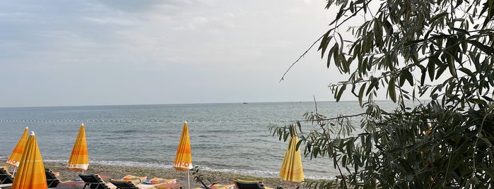 Coast Cafe & Beach is one of İst Avrupa.