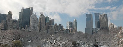 Central Park is one of Tipos de City of New York.
