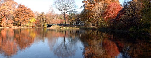 Prospect Park is one of New York.