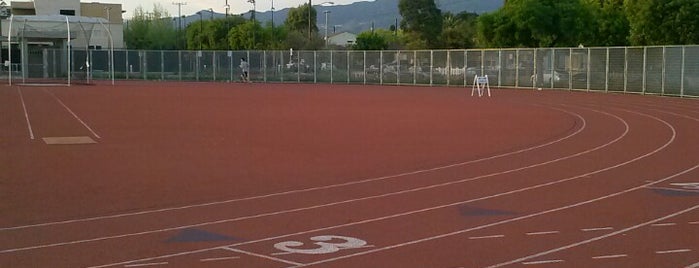 My Coach Larry Track is one of Coach Larry Training Sites.