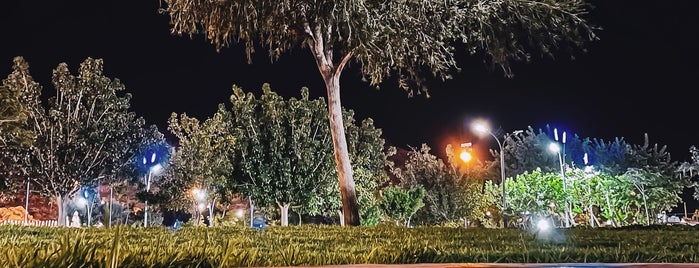 King Abdullah Park is one of Taif.