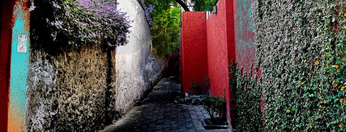 Coyoacán is one of Lugares favoritos de Julio.