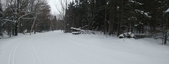 Swedetown Recreation Area is one of Houghtoneers.