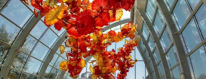 Chihuly Garden and Glass is one of Seattle Adventures!.