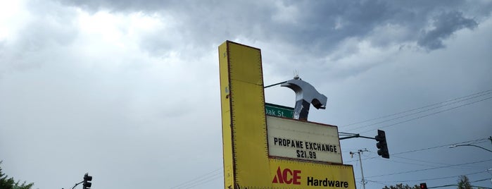 Ace Hardware is one of Places to Remember.