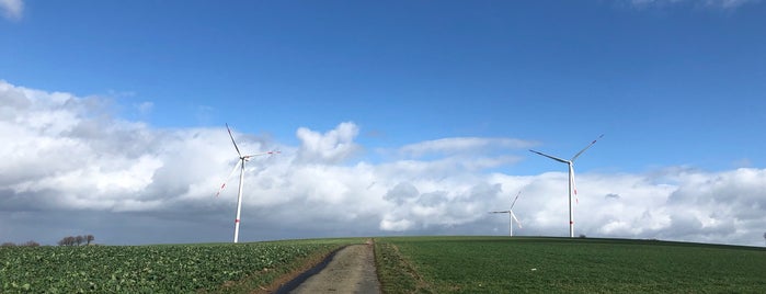 kaifenheim is one of Around Rhineland-Palatinate.