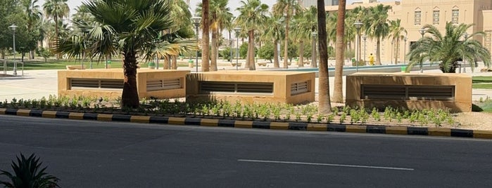 King Saud Bin Abdulaziz University For Health Sciences is one of Mani.