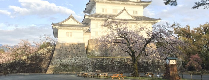 Odawara Castle is one of Japonya.