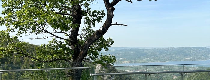 Ayrı Gezegen Cam Teras is one of Sakarya.