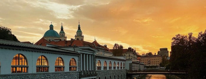 Žitni most / Grain Bridge is one of Slovenya.