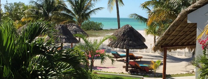 Hotel Puerto Holbox is one of Lieux qui ont plu à Gus.