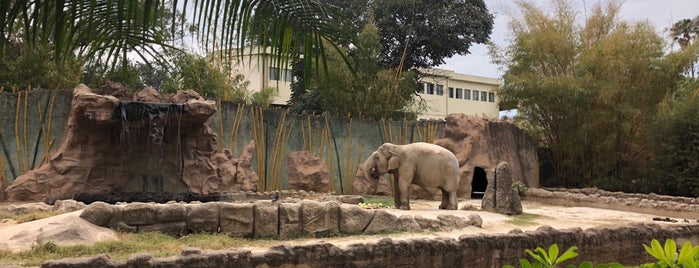 Zoológico La Aurora is one of Lugares favoritos de Rodrigo.