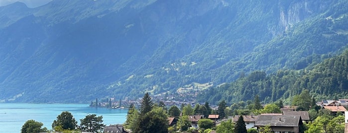 Hotel Brienz is one of Places to go back and back again.