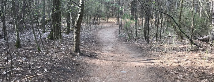 Provin Trails Park is one of Grand Rapids.