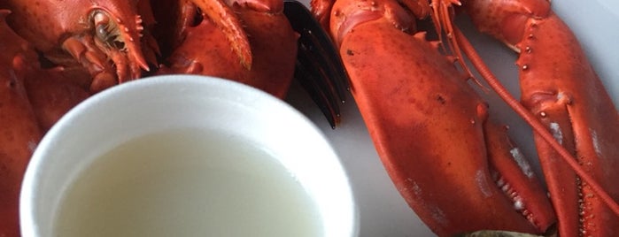 Alive & Kicking Lobsters is one of Boston bucket list.