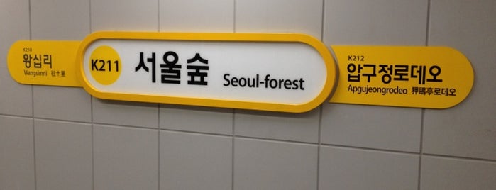 Seoul-forest Stn. is one of 분당선 (Bundang Line).