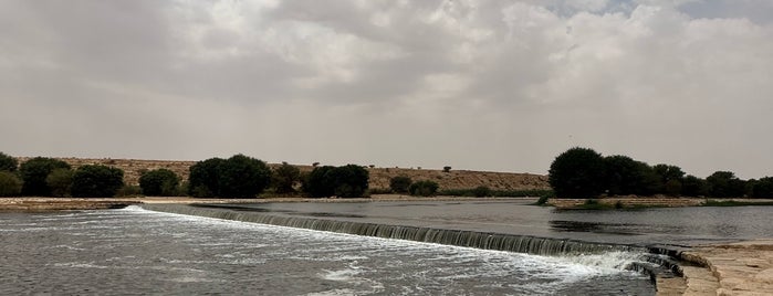 Riyadh Lakes Park is one of Outdoorsy sites in Riyadh.