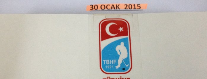 Türkiye Buz Hokeyi Federasyonu is one of ice.