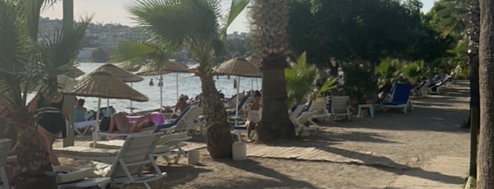 Gümbet Plajı is one of Tempat yang Disukai Sosyolord.