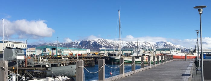 Porto de Reiquiavique is one of Reykjavik, Islande.
