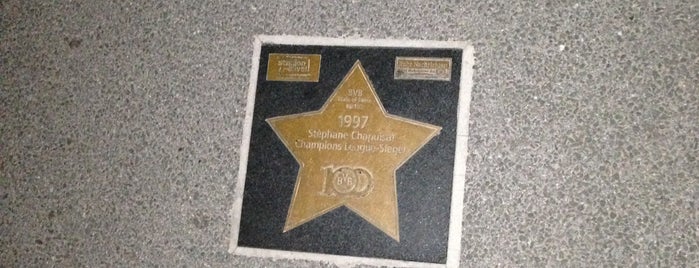 BVB Walk of Fame #86 1997 Stéphane Chapuisat Champions League-Sieger is one of Posti salvati di ☀️ Dagger.