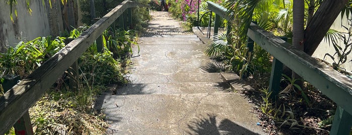 99 Steps is one of Virgin Islands.