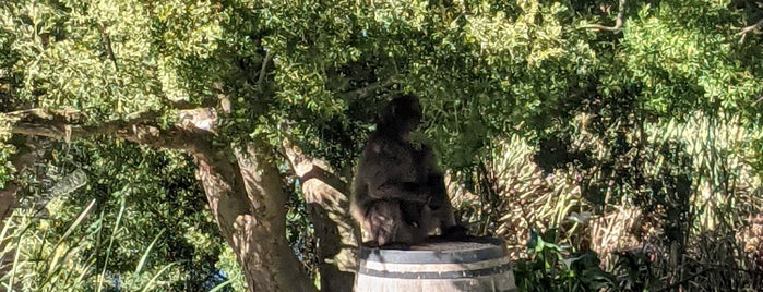 Hamilton Russell Vineyards is one of Capetown.