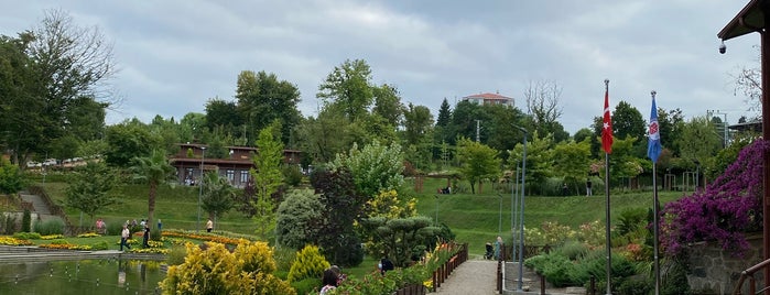 Çamoba Botanik Bahçesi Alanı is one of Trabzon.