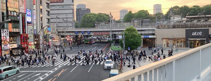 上野駅交差点 is one of 中央通りの散歩.