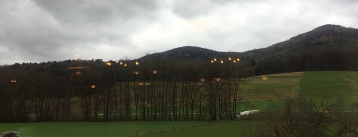 Gasthof Grüner Baum is one of Tempat yang Disukai Mar.