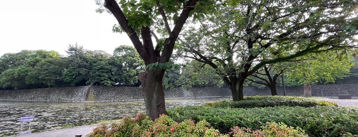 大手濠緑地 is one of 公園_東京都.