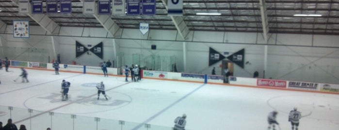 Dwyer Arena is one of College Hockey Rinks.