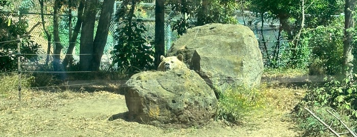 Hearst Grizzly Gulch is one of San Francisco Zoo Exhibits.