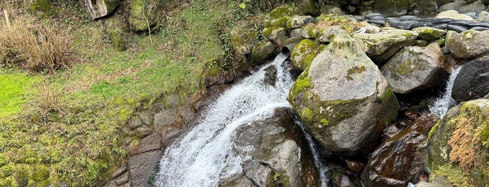 Shiraito Falls is one of 観光 行きたい.