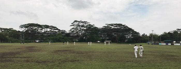 Turf City Cricket Ground is one of Cricket.