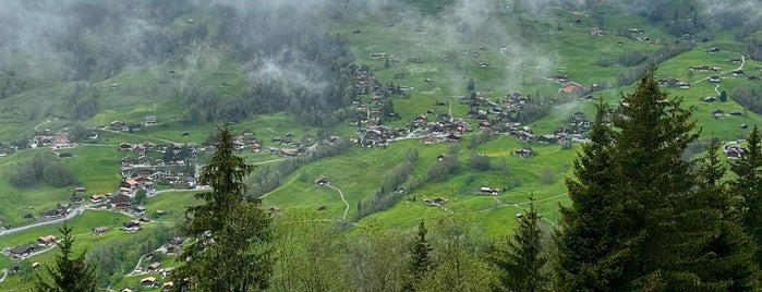 Berghaus Pfingstegg is one of Grindelwald.