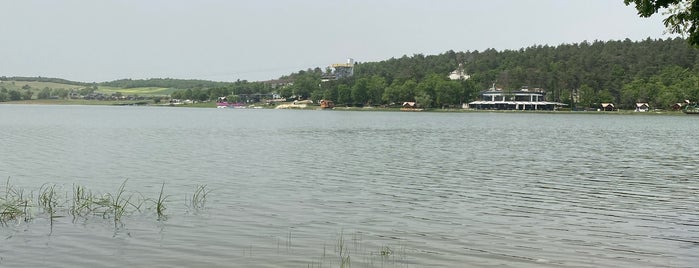 Dağyenice Gölü is one of Marmara Bölgesi.