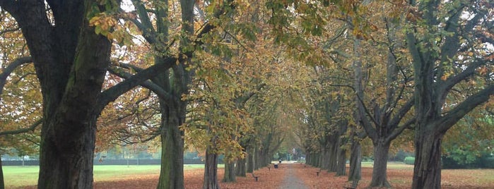 Lammas Park is one of London's Parks and Gardens.