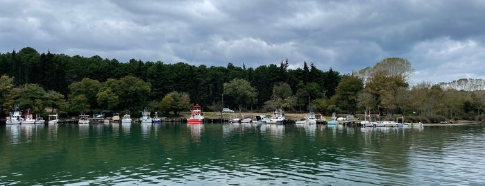 Akliman Piknik Alanı is one of Sinop.