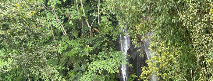 Munduk Waterfall is one of Waterfall in Bali.