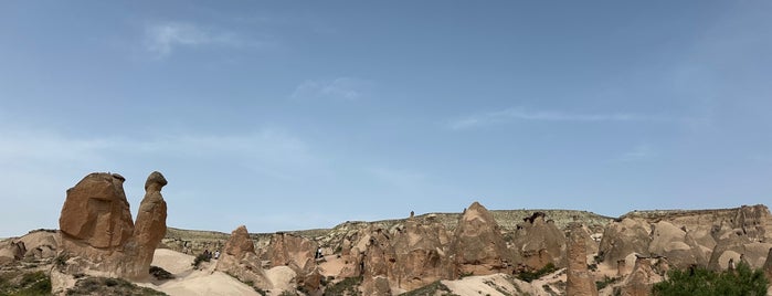 Devrent Vadisi is one of kapadokya gezilecek yerler.