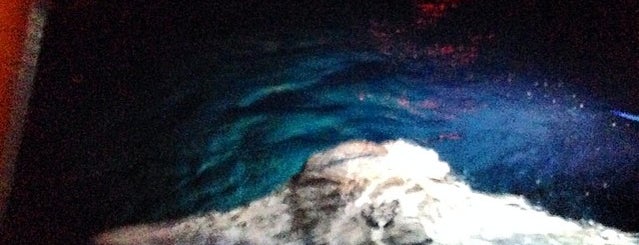 Neptune Charlies Manta Dive is one of สถานที่ที่ Tyler ถูกใจ.