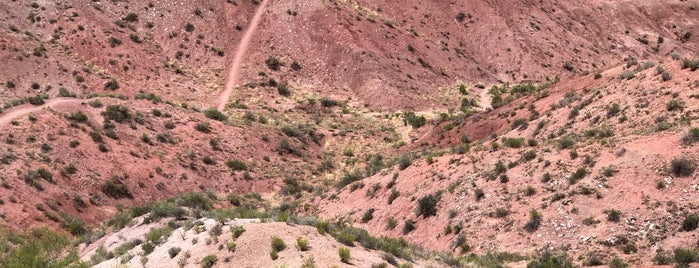 Painted Desert is one of Want to Visit.