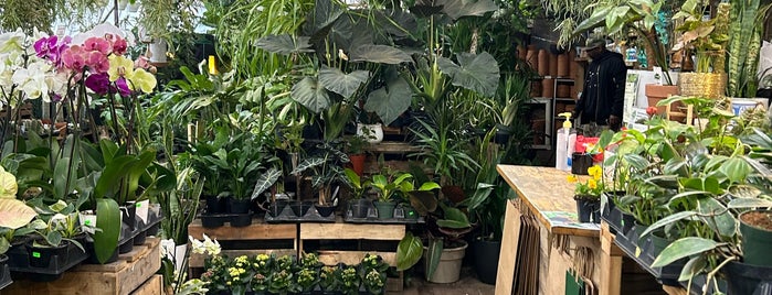 Urban Garden Center is one of Flowers in NYC.
