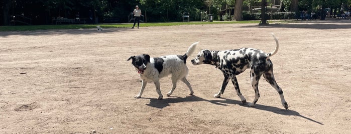 Dog square Sarphatipark is one of Guide to Amsterdam's best spots.