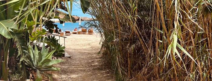 Playa Des S Estanyol is one of Ibiza.