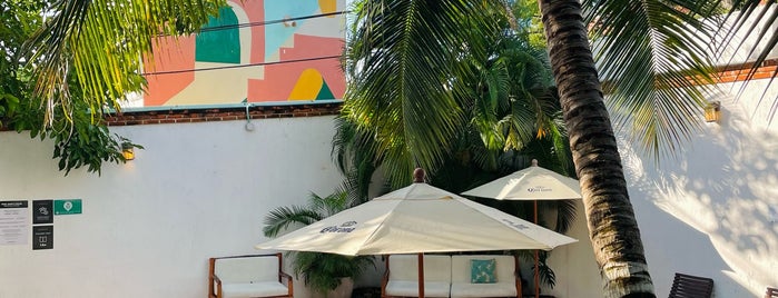 nomads hotel, hostel & bar cancun is one of Mexico.