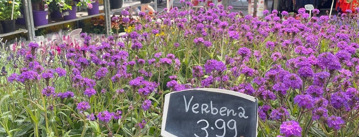 De Plantenmarkt is one of Posti che sono piaciuti a Begüm.