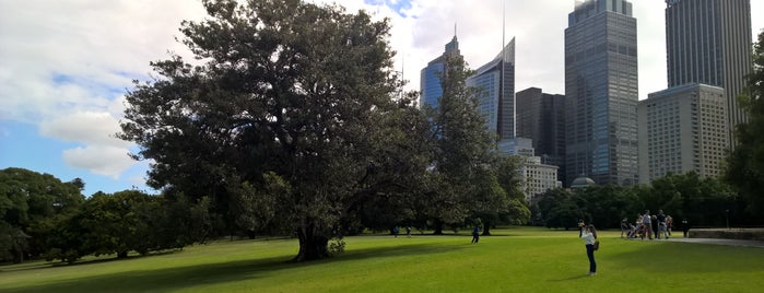 Royal Botanic Garden is one of Sydney.